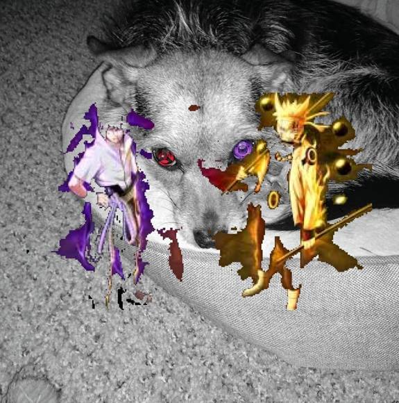 calebivey
